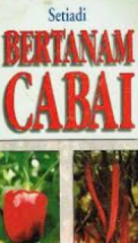 Bertanam Cabai