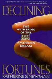 Image of Declining Fortunes : The Withering Of The American Dream