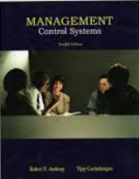 Management Control Systems